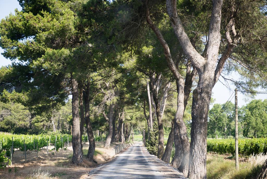 Chateau Canet Villa Rustiques Esterno foto