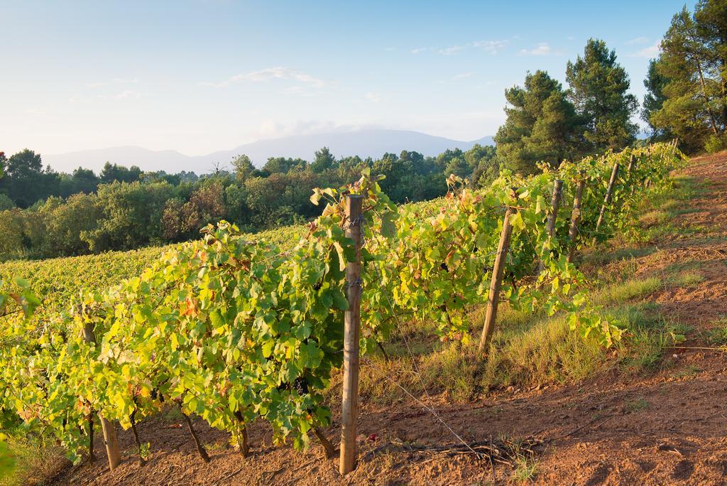 Chateau Canet Villa Rustiques Esterno foto