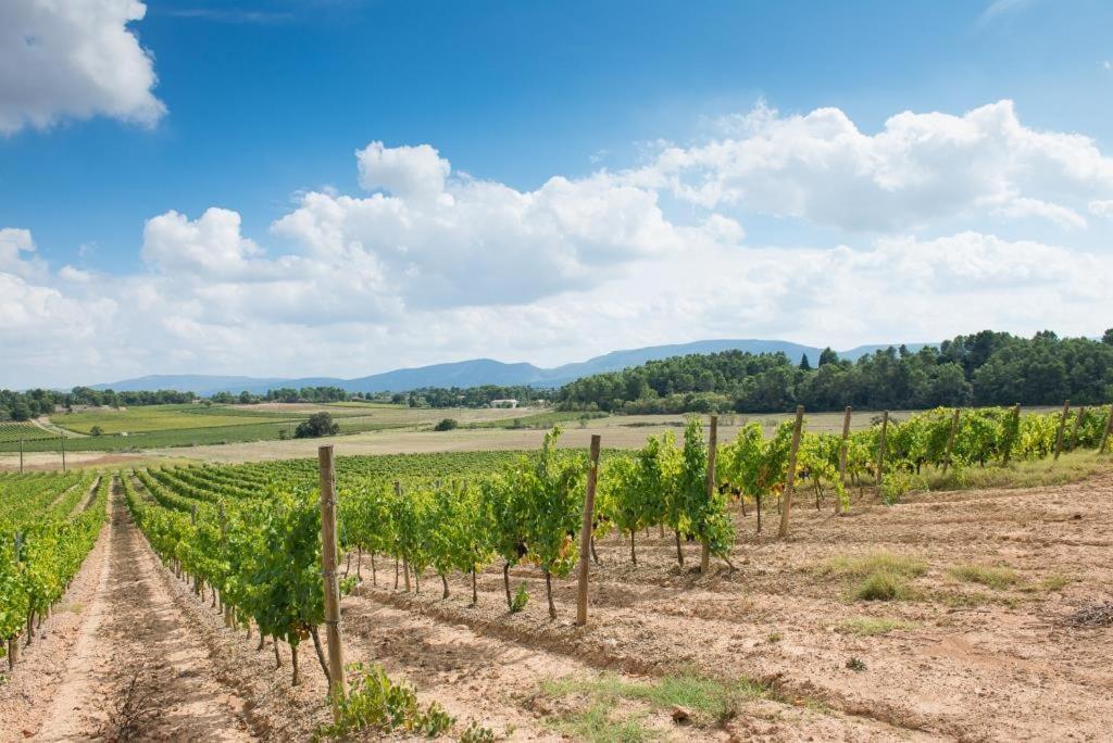 Chateau Canet Villa Rustiques Esterno foto